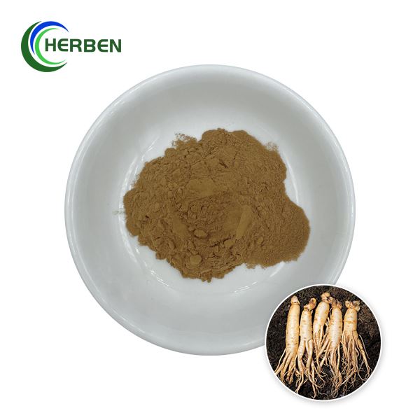 Extracte sec de ginseng