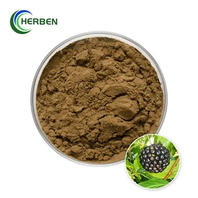 Extracte de ginseng siberià en pols